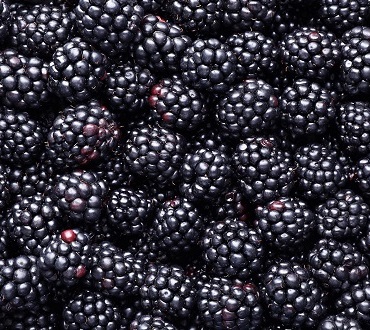 Blackberries