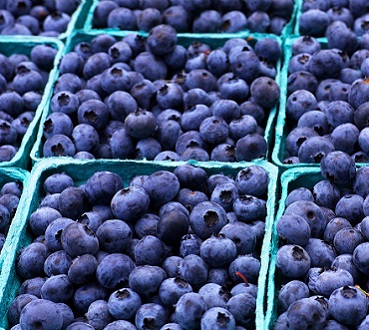 Blueberries