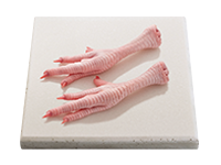 Foot