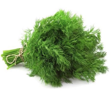 Dill