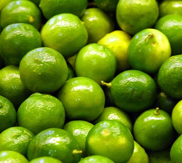 Persian Limes / Citrus Latifolia