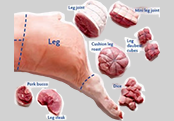 Leg