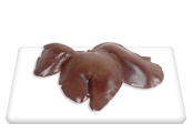 Liver