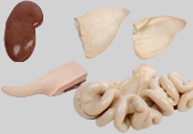 Offals and Pork Products