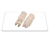 Pork Trotter (Front Feet) Cut at First Joint