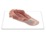 Tongue