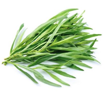 Tarragon